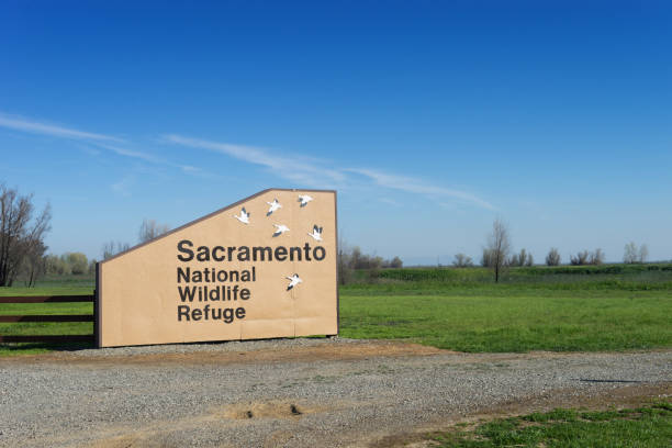 istock Sacramento National Wildlife Refuge's sign 1036215634