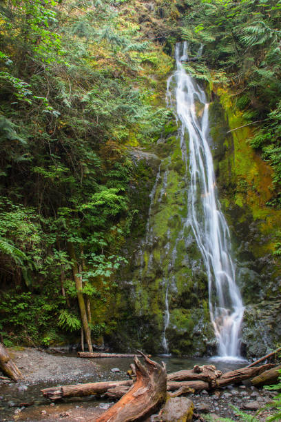 istock Waterfall, Olympic National Park, WA 1036217330