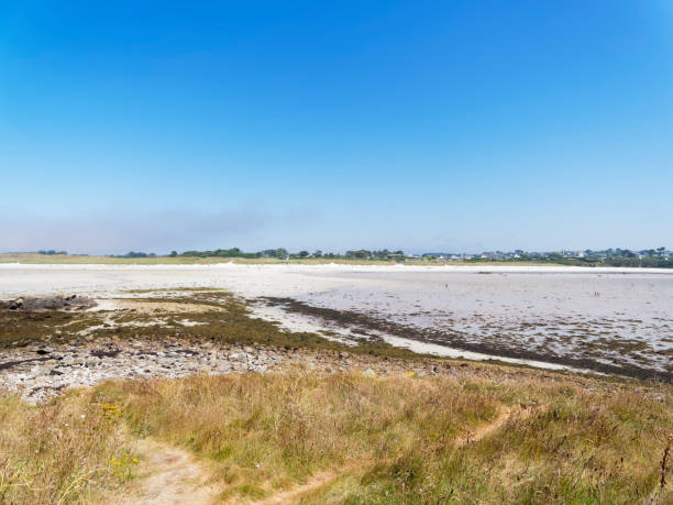 Sainte-Marguerite Beach Standing on a small island at low tide looking back at Plage Sainte-Marguerite cut weed stock pictures, royalty-free photos & images