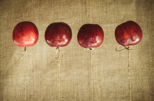 Holiday decorations for Halloween. Red ripe apples hung on a string on a background of natural linen cloth. Background for a postcard in a retro style