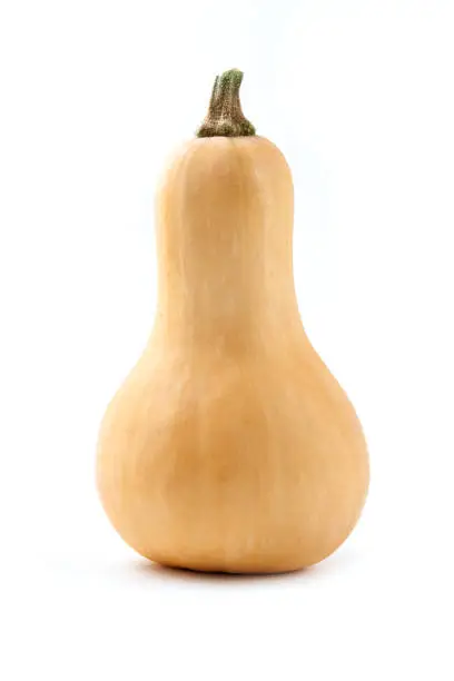 Photo of Butternut squash