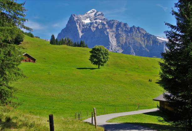 el espectacular descenso de waldspitz a bort sobre grindelwald, oberland bernés, suiza - silberhorn fotografías e imágenes de stock