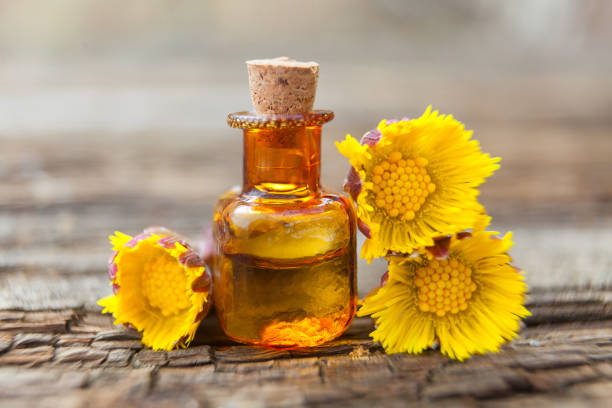 foalfoot essential oil in  beautiful bottle on table stock photo