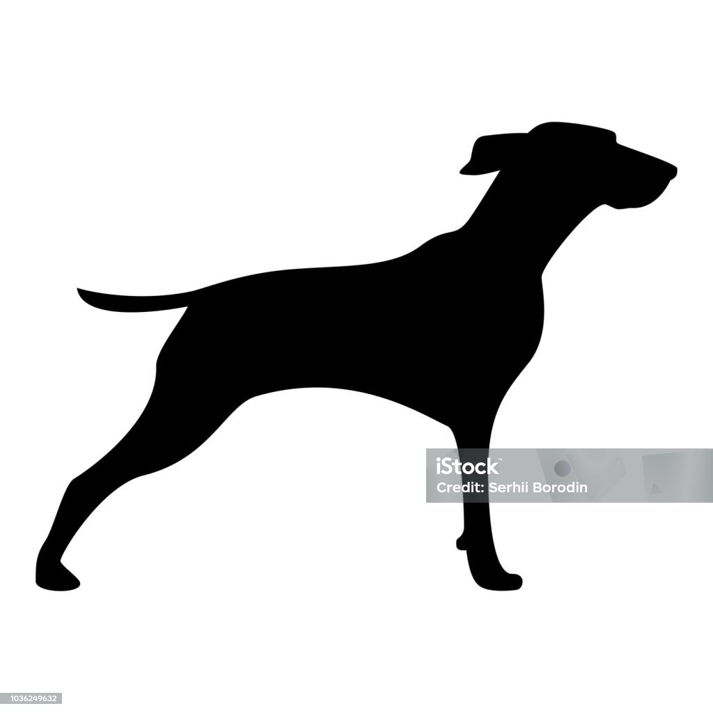 Hunter dog or gundog icon black color icon Hunter dog or gundog icon  icon black color vector illustration isolated Animal stock vector