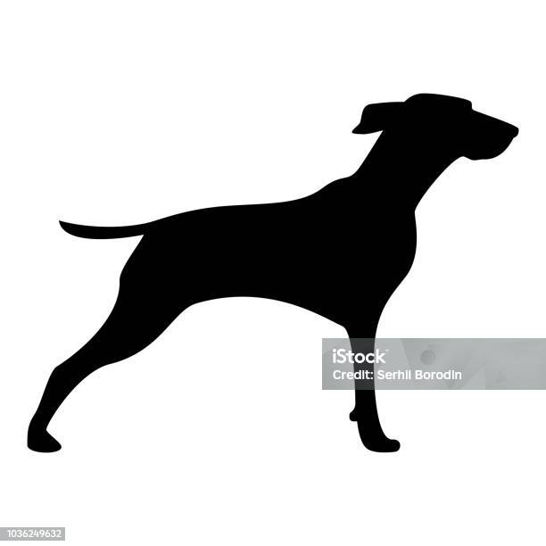 Hunter Dog Or Gundog Icon Black Color Icon Stock Illustration - Download Image Now - Animal, Beagle, Black Color