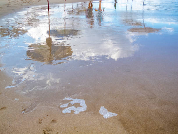 istock Vague human shapes, cumulus clouds and beach umbrellas reflected on a wet sandy beach surface on the Black Sea Coast 1036261112