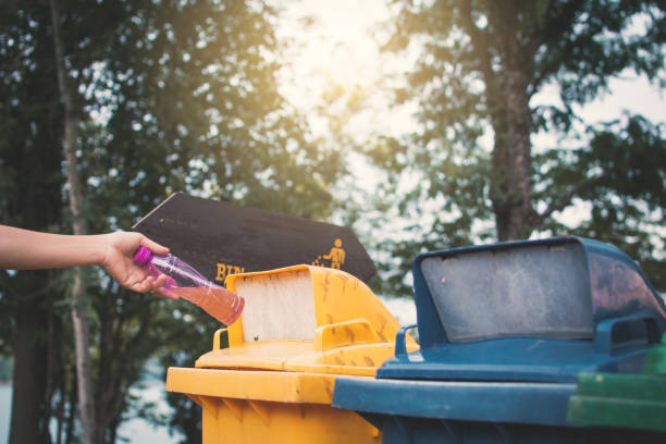 istock Cropped Image Woman Throwing Bottle In Garbage Bin 1036264268