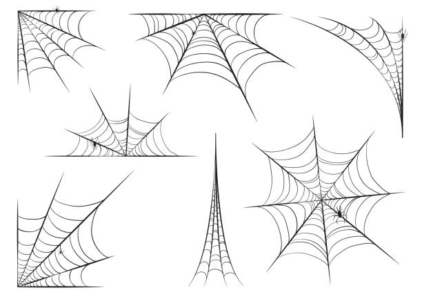 Halloween cobweb set in hand style with spiders. Vector illustration design. Halloween cobweb set in hand style with spiders. Vector illustration design. spider web stock illustrations