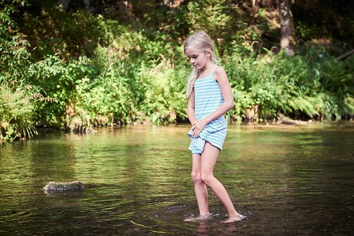 Child cute blond girl playing in the creek. Girl walking in forest stream and exploring nature. Summer children fun. Children summer adventure