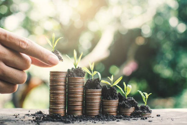 istock Cropped Image Of Hand Putting Seedlings On Coins 1036272936