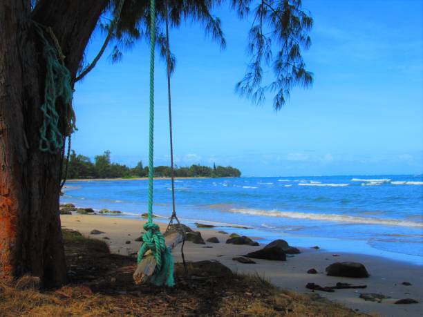 istock Rope and tire swings around Oahu Hawaii 1036279866