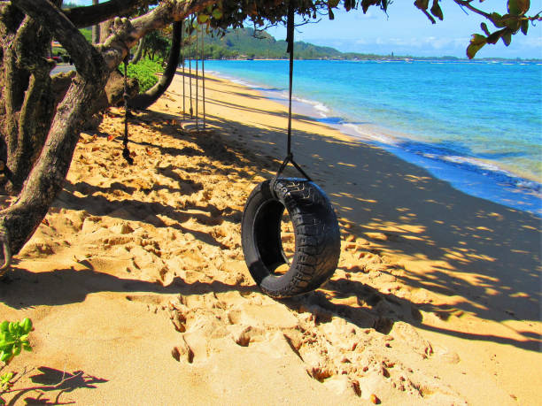 istock Rope and tire swings around Oahu Hawaii 1036279898