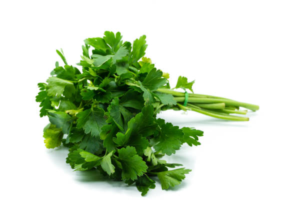istock Green parsley bunch isolated on white background 1036290276