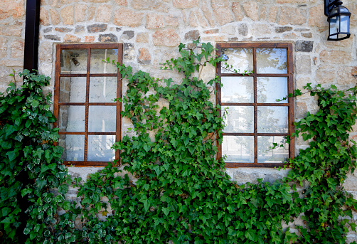 Two windows on the old stone wall and wild plants growing around