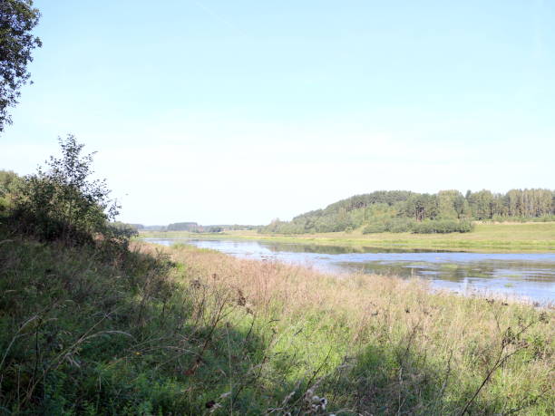 istock river landscape in autumn sunny day 1036301988