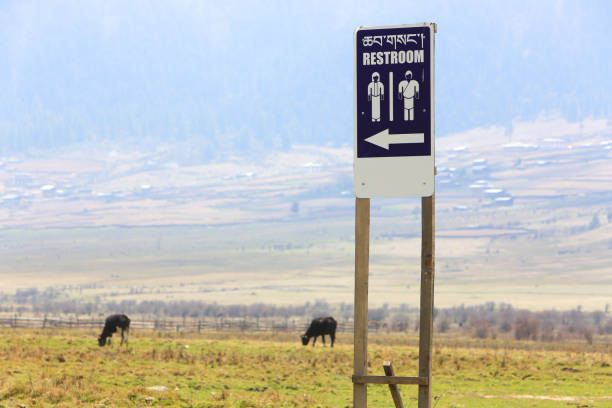 Restroom signboard in the Phobjikha Valley in Bhutan. The valley is also known as Gangteng after its impressive monastery. The broad valley has the best-known marshland in Bhutan, a world famous protected area where black-necked cranes (Grus nigricollis) arrive from the Tibetan Plateau to roost every winter. The Kingdom of Bhutan is landlocked in the Eastern Himalayas, Thimphu is its capital and largest city, while Phuntsholing is its financial center. The Head of state is the King of Bhutan, known as the \