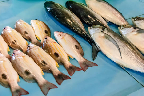 Assorted fish display on counter in fish market in Phuket, Thailand