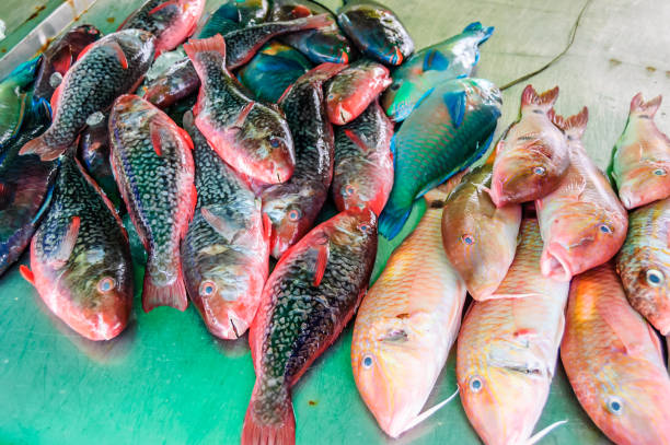 istock Colorful fish stall in Thailand 1036309902