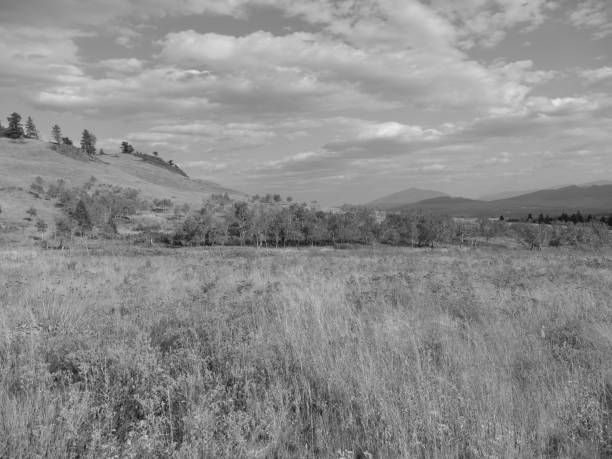 istock Hiking the hills in Black and White 1036312288