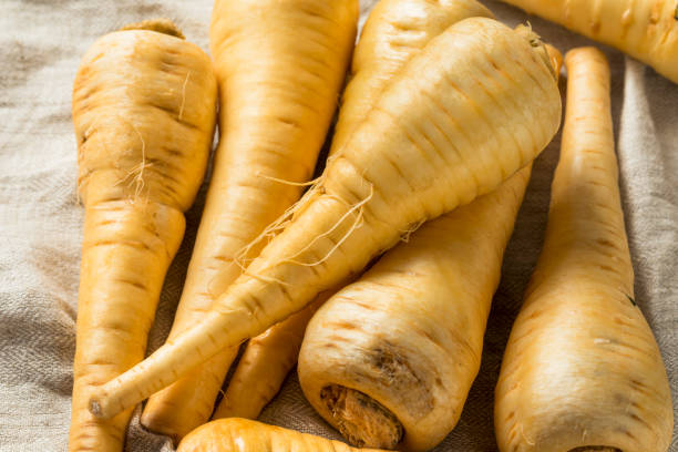 istock Raw Organic Brown Parnsip Roots 1036315902