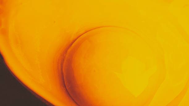 jaune oeuf sur le plat en vue de dessus de macro - fatty acid photos et images de collection