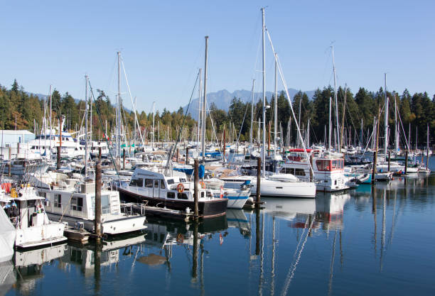 istock Morning In Vancouver Marina 1036316398