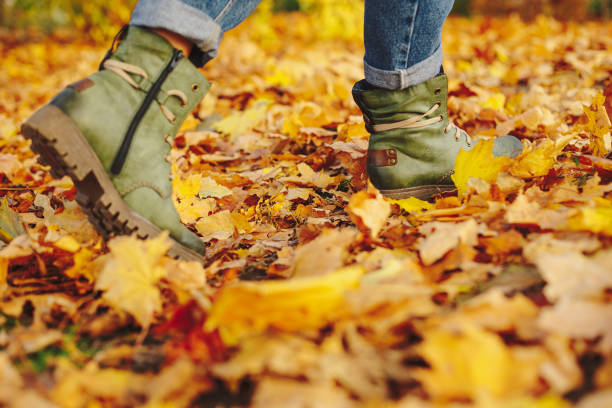istock Leather shoes walking on fall leaves Outdoor 1036317272