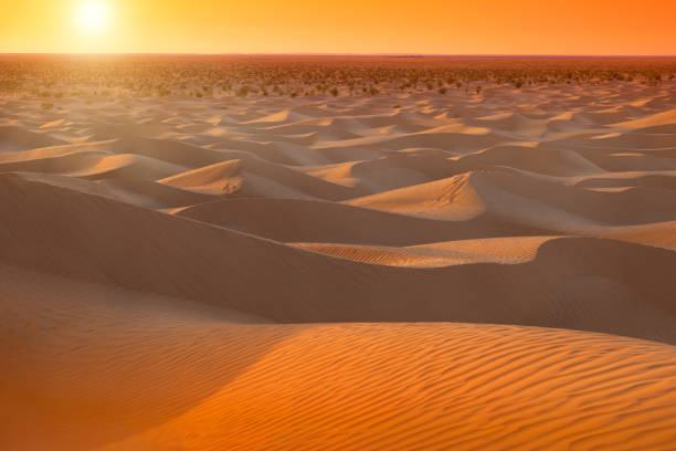 istock sunrise in Sahara in Tunisia 1036322962