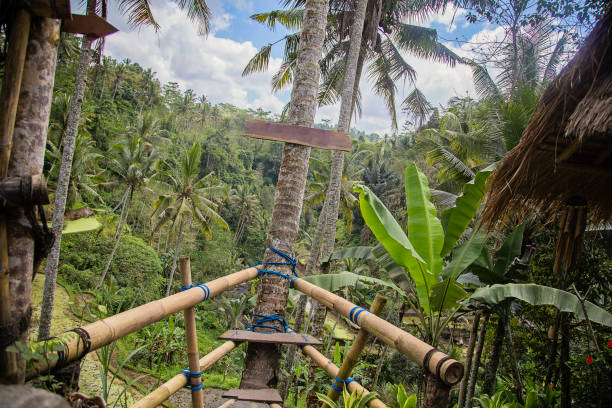 istock Balcony in the jungle, Bali landscape 1036329200