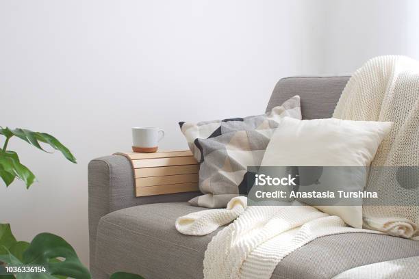 Home Interior Cozy Living Room Sofa Cushion Coffee Mug Knitted Plaid Monstera Plant Room Decor Scandinavian Style Copy Space Stock Photo - Download Image Now