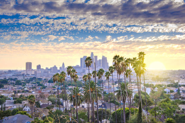 los angeles downtown - city of los angeles city life cityscape night imagens e fotografias de stock