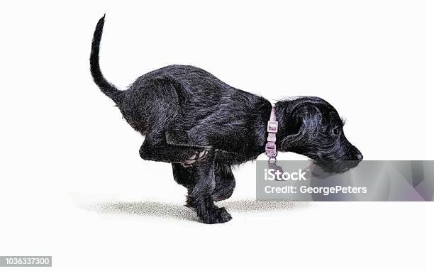 Playful Puppy Running Stock Illustration - Download Image Now - Dog, Running, Cut Out