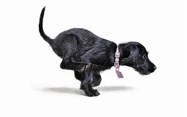 Vector illustration of Playful puppy running