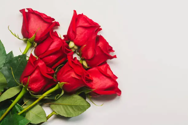 Bunch of red roses on white background. Flat lay