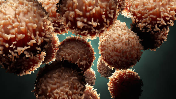 세포를 현미경으로 미만 - stem cell human cell animal cell science 뉴스 사진 이미지