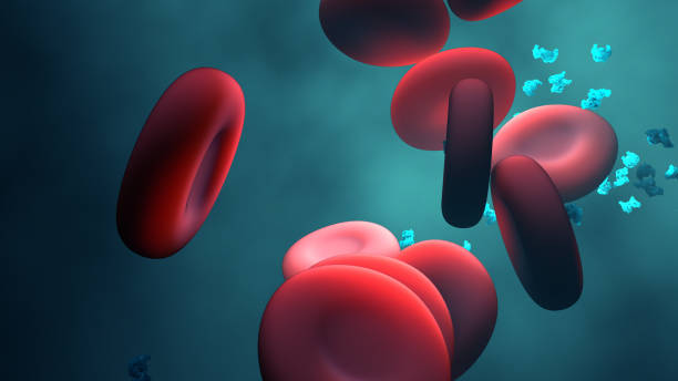 kuvapankkikuvat ja rojaltivapaat kuvat aiheesta universaali veri, punasolut entsyymillä - cytoskeleton