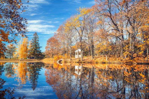 istock Sunny autumn in the park over lake 1036404926
