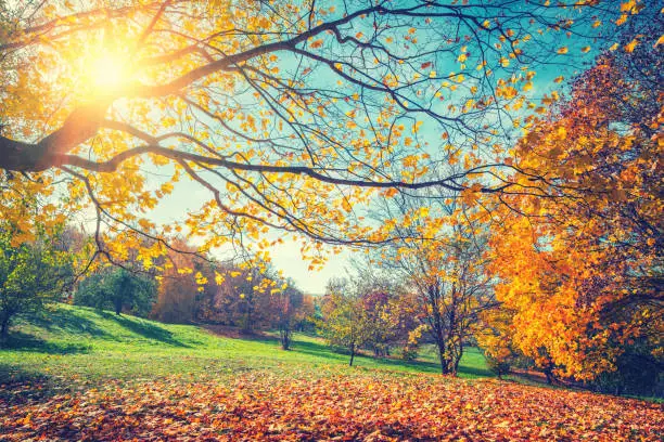 Photo of Sunny autumn in countryside