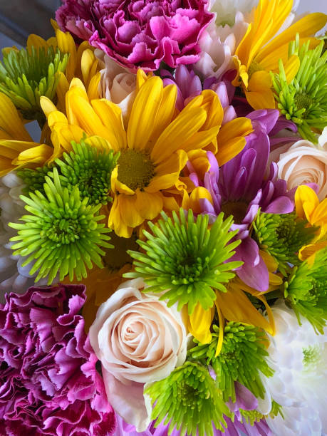 istock Variety of flowers bouquet 1036412344
