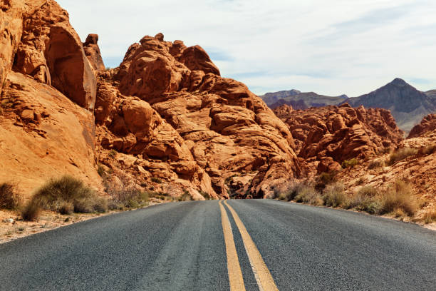 istock Straight Road Leading Towards Colorful Mountains 1036435962