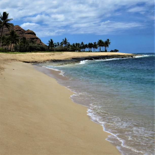 istock Landscapes and coastlines around Oahu HI 1036435988
