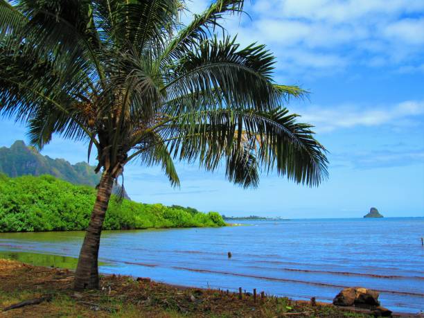 istock Landscapes and coastlines around Oahu HI 1036436000