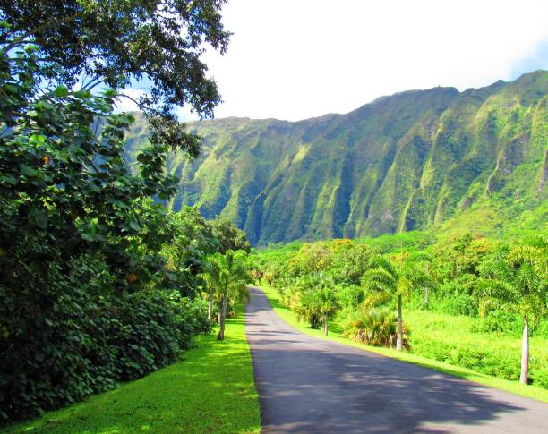 istock Landscapes and coastlines around Oahu HI 1036436002