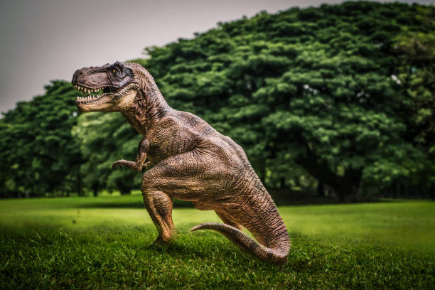 istock dinosaur , T-rex   with tree branches against on the nature 1036444514