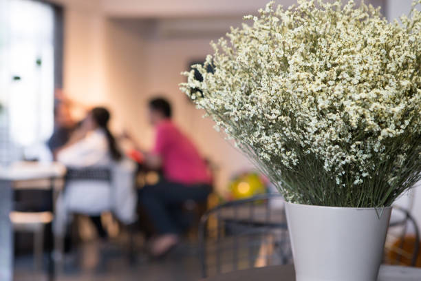 beautiful white statice flower on the cafe background blurred