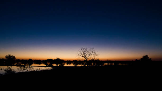 istock Sunset with trees in silhouette over water 1036454116