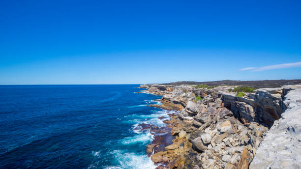 istock Sydney's natural coastline 1036455506