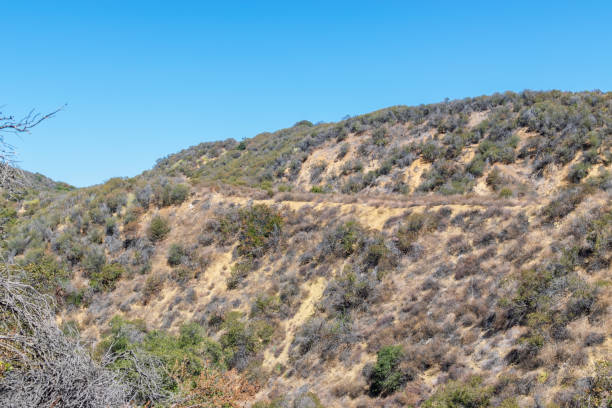 istock Trails for hiking and biking 1036456768