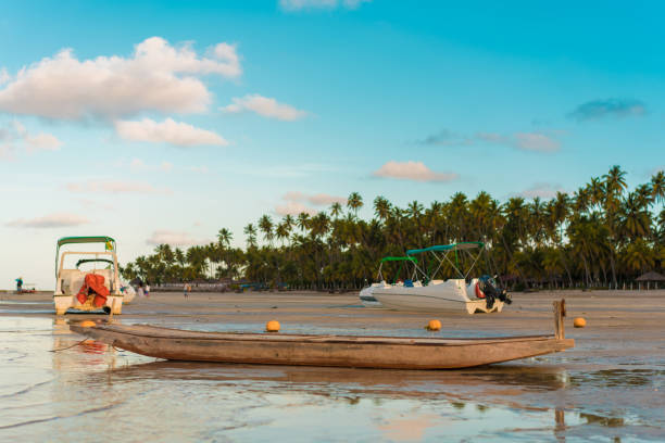 fishing boat and motorboats on carneiros beach. - rowboat nautical vessel small motorboat imagens e fotografias de stock