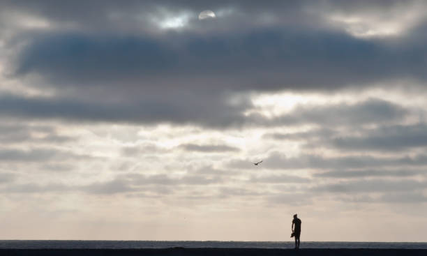 istock A silhouette of a man standing on a Pacific ocean beach 1036484392